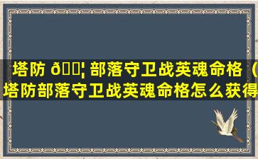 塔防 🐦 部落守卫战英魂命格（塔防部落守卫战英魂命格怎么获得 🪴 ）